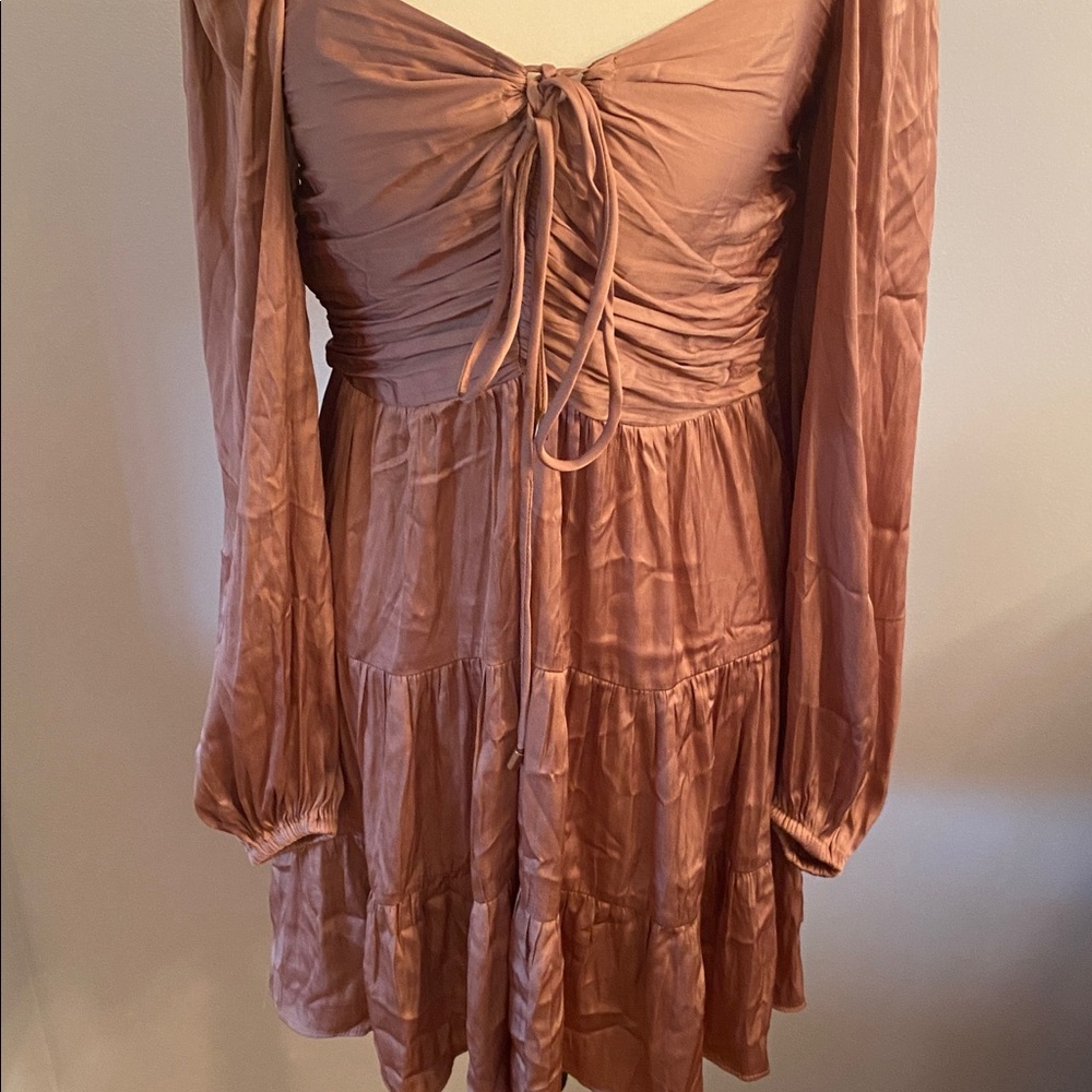 Mink pink NWT Spencer rose XS mini dress - Picture 3 of 8